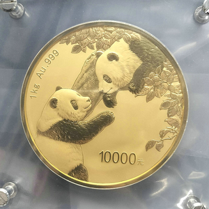 2023 panda 1kg gold coin