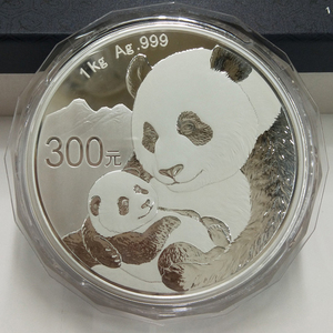 2019 panda 1kg silver coin